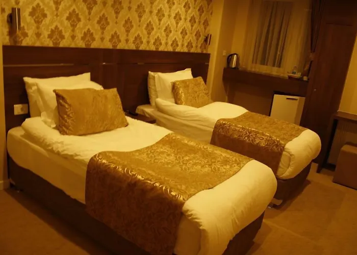 Aygoren Hotel Denizli (Denizli)